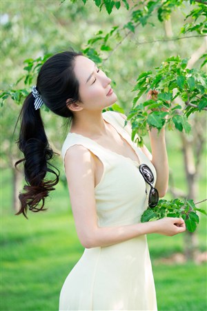 樱花动漫官网官方入门