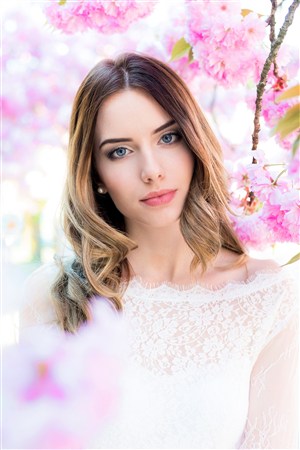 天天插天天日天天干天天透天天操